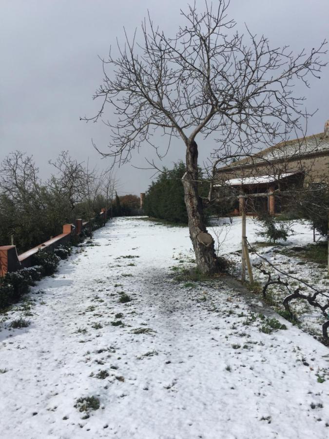Willa Malicodia Santa Maria di Licodia Zewnętrze zdjęcie